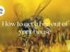 How to get a bee out of your house