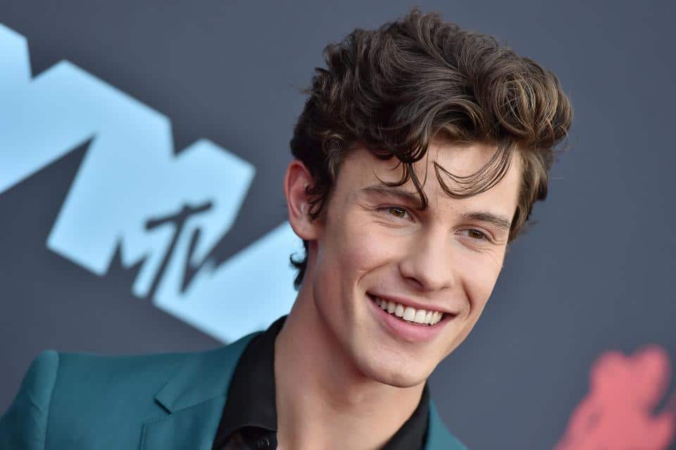 Shawn Mendes Biography: The Reasons Behind His Ambitious Career